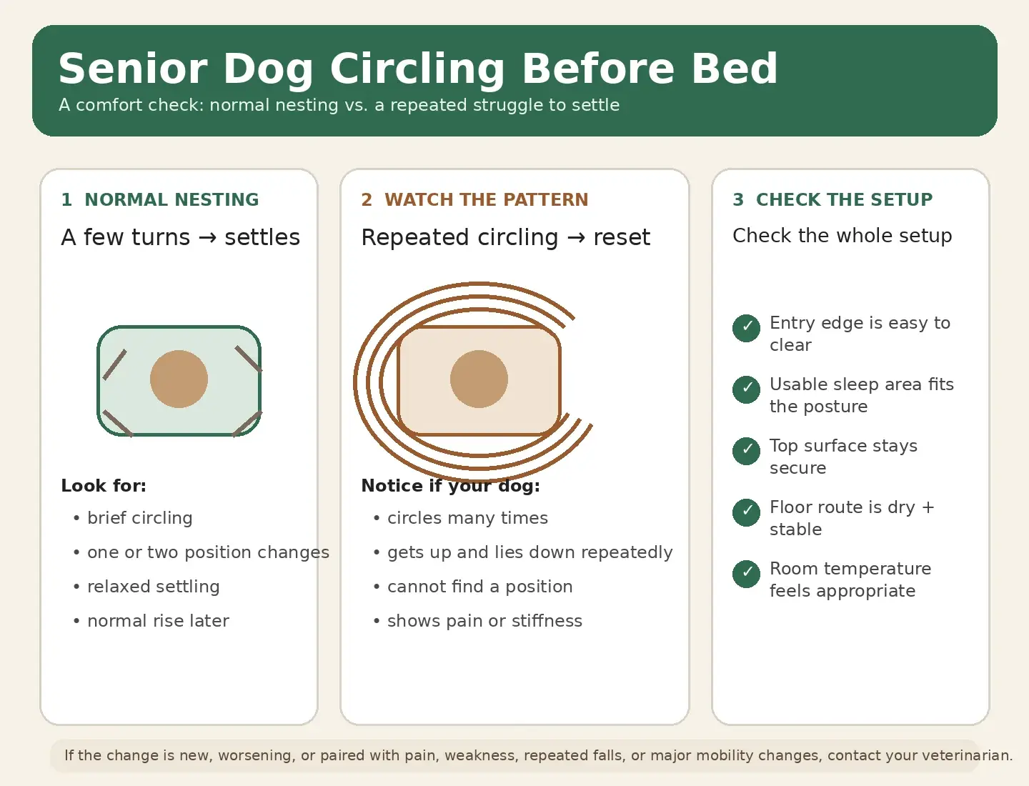 Infographic showing normal brief circling, repeated circling to watch, and five setup checks for a senior dog bed