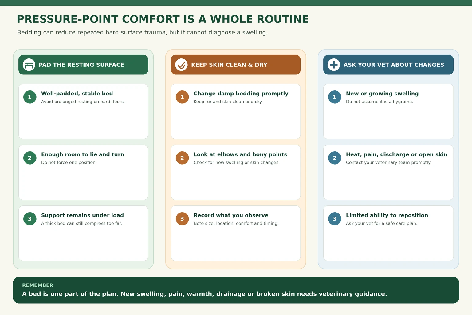 Three-part pressure-point comfort checklist: use a padded stable bed, keep skin and bedding clean and dry, and ask a veterinarian about new swelling or skin changes