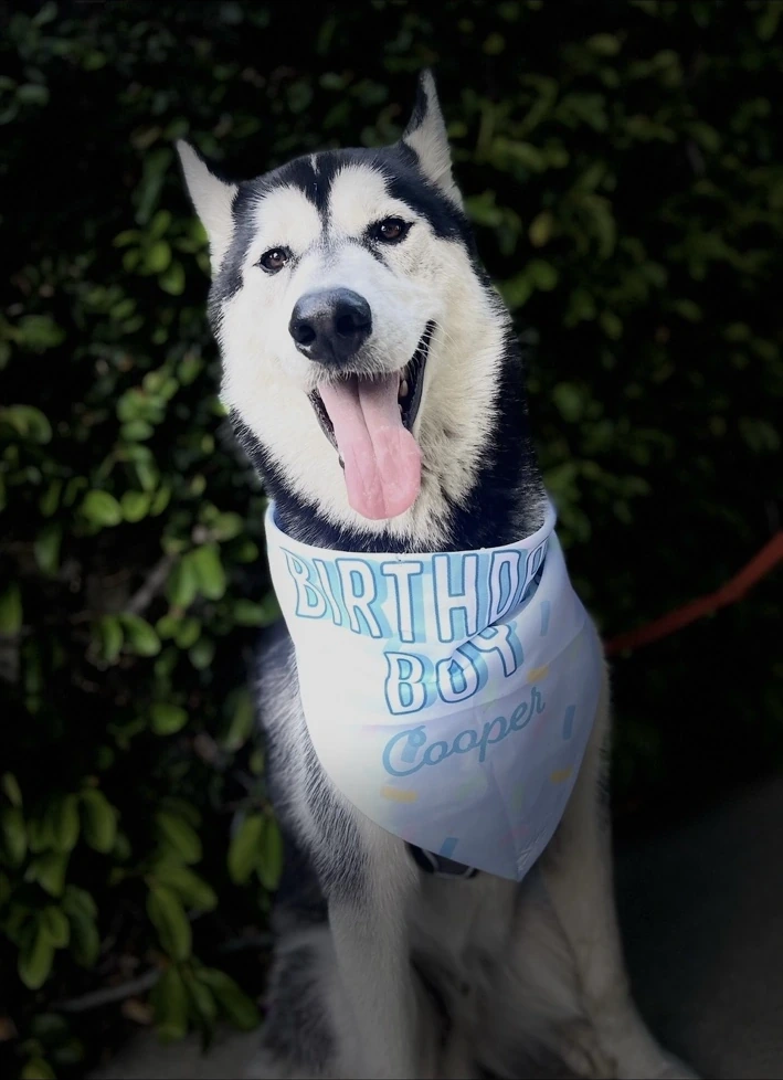 Cooper smiling outdoors wearing his Birthday Boy bandana