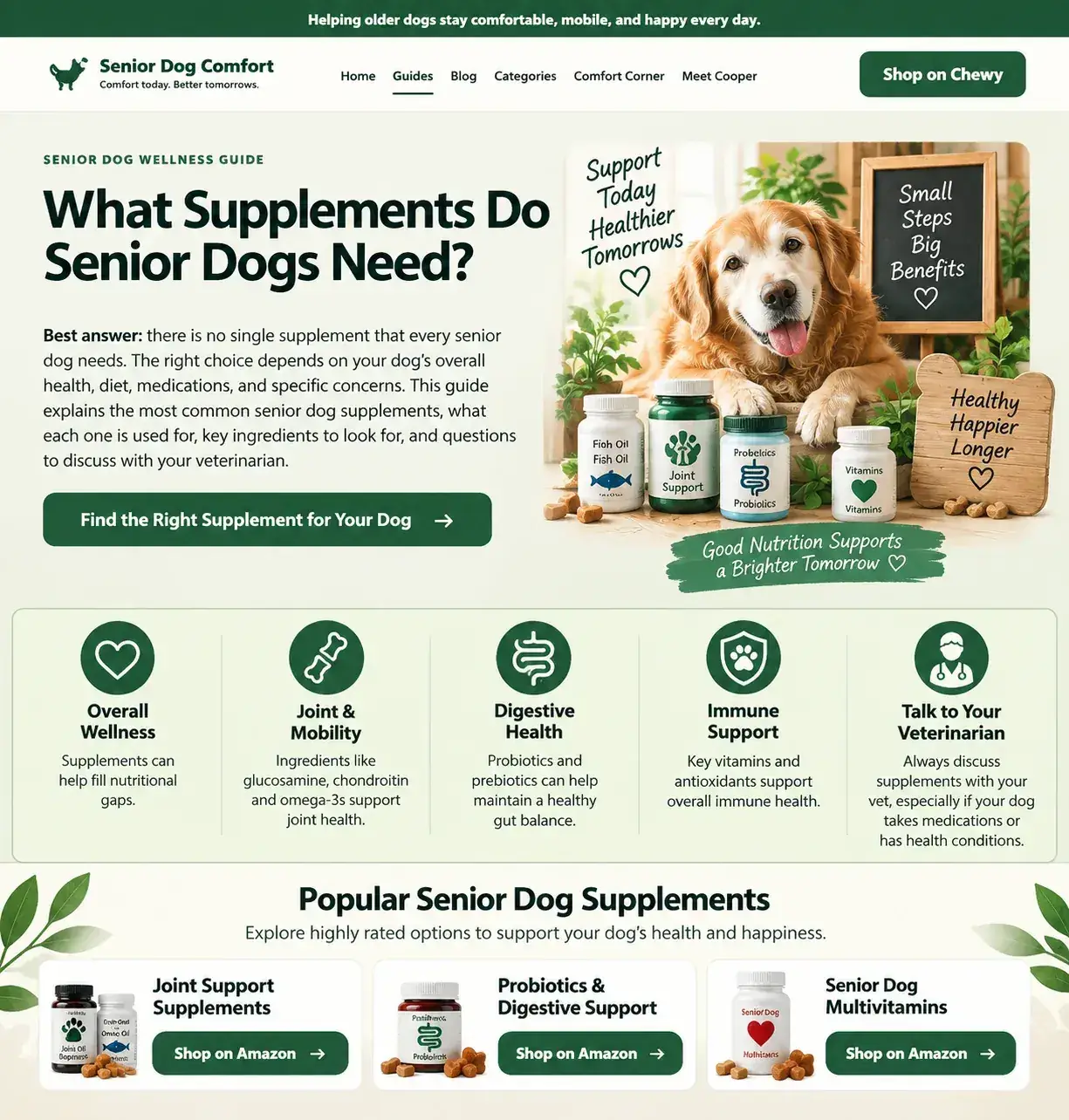 Senior dog vitamins and supplements comparison visual with wellness, joint, digestive, immune, and veterinary guidance cues