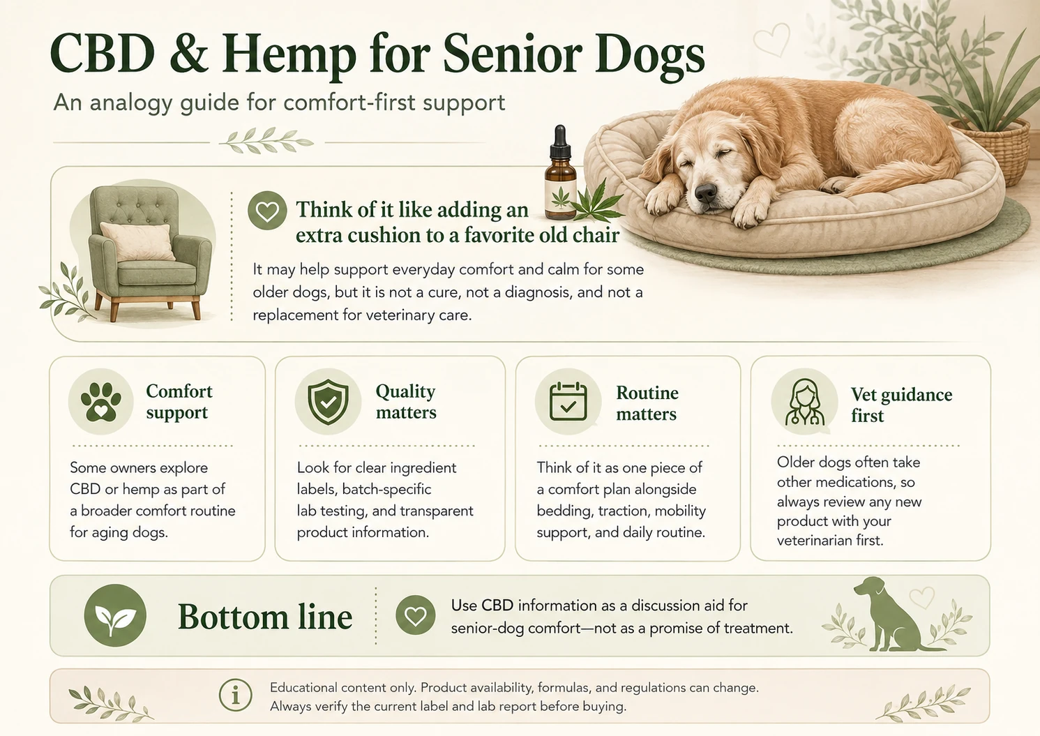 Illustrated CBD and hemp comfort analogy for senior dogs comparing optional comfort support with quality checks, routine support, and veterinarian guidance.
