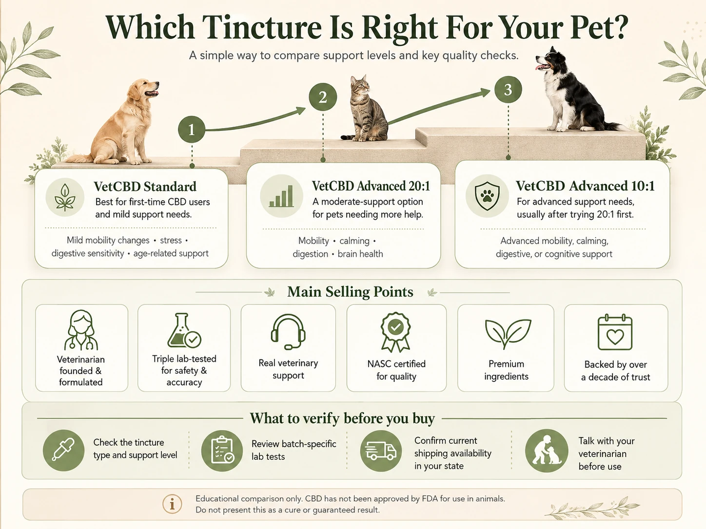 Illustrated VetCBD tincture comparison showing Standard, Advanced 20 to 1, and Advanced 10 to 1 options, manufacturer-listed selling points, and four checks to make before buying.